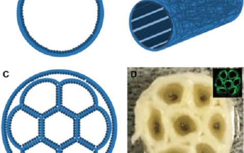 全球聚合物纳米复合材料顶尖研究团队介绍及最新研究进展梳理