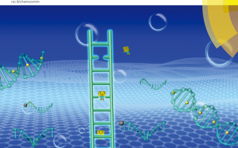 中国农业大学罗云波&许文涛团队ChemCommun内封面文章:基于核酸纳米阶梯和氧化石墨烯的Hg2+非酶恒温快速检测技术