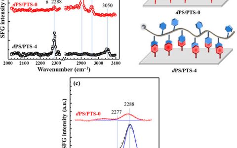 浙江理工大学Macromolecules：通过界面非共价相互作用来提高聚苯乙烯的热稳定性