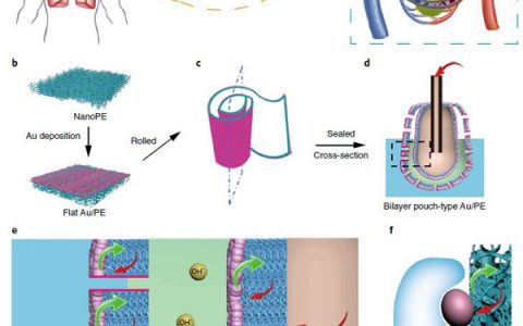 崔屹Nat. Catalysis:三相界面上高效的电催化CO2还原