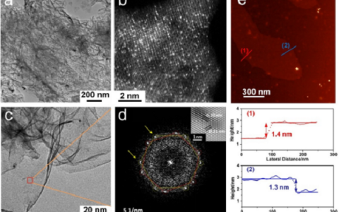 上海交大邓涛团队邬剑波&朱虹&加州大学潘晓晴Nano Letters:邻位单原子协同作用的高效及高抗CO毒化燃料电池氧还原催化剂