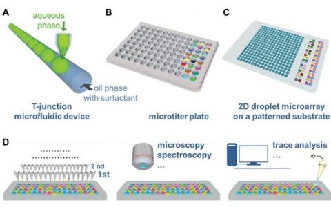 Adv. Mater综述：液滴微阵列--从表面图案化到高通量应用