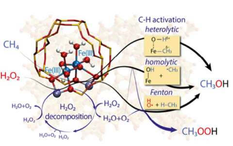ACS Catalysis：单点Fe/ZSM-5催化剂的H2O2氧化甲烷反应机理研究