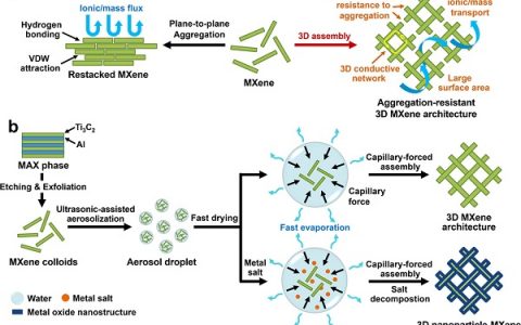 大连理工 邱介山&王治宇 ACS Nano: 基于聚合的3D MXene架构作为完全分解水的高效双功能电催化剂