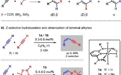 ACS Catal. : 理论计算助力铁(II)双(乙炔化物)配合物催化末端炔烃氢官能化反应
