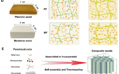 中科大俞书宏Science Advances:新型仿生人工木材