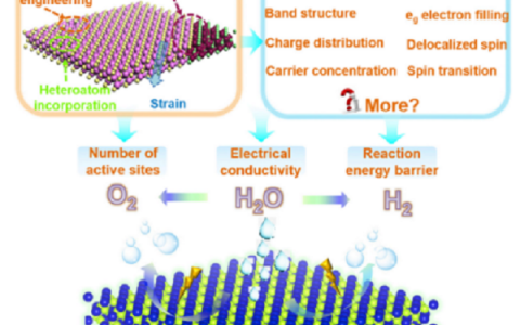 中科大肖翀、谢毅团队Chem综述新解二维电催化水裂解材料:玩转电荷和自旋序