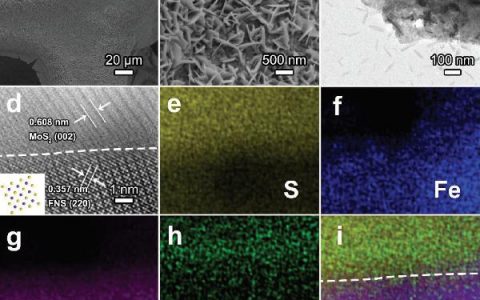上海交大邬剑波&朱虹Adv. Mater. : MoS2/Fe5Ni4S8异质耦合界面的构筑及其高效电催化分解水