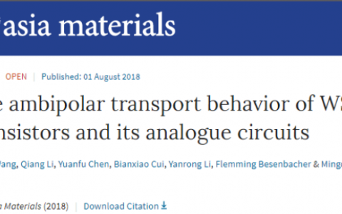 奥胡斯大学NPG Asia Materials:WSe2晶体管的双极性输运行为和他在模拟电路中的应用