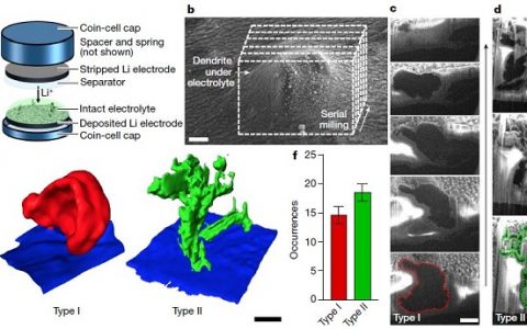 今日Nature:冷冻电镜直接观测锂金属电池中的界面行为