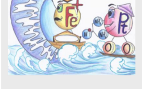 德国埃尔朗根-纽伦堡大学的Andriy Mokhir 教授课题组 Angew:高效率、高特异性肿瘤线粒体膜靶向的化合基团