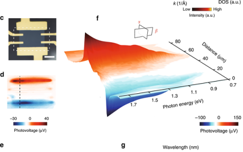 继Nat. Nanotech.后北京大学彭海琳&刘开辉再度合作Nature子刊:新型的超快高敏二维红外探测器