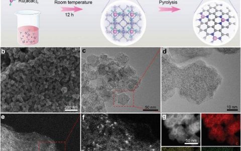 中科大曾杰教授Adv. Mater.：钌单原子催化剂实现高效电化学固氮