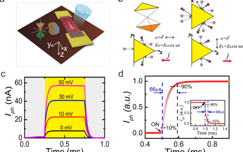 上海技术物理研究所陈效双、陆卫团队Adv. Funct. Mater.: 拓扑绝缘体高灵敏室温太赫兹探测