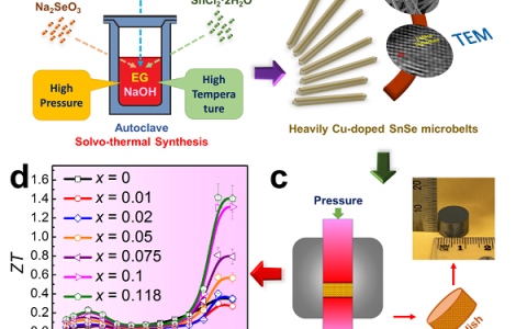 南昆士兰大学陈志刚&昆士兰大学邹进Chemical Science：通过实现高浓度铜掺杂并同时引入密集晶体缺陷来实现具有高性能的p型硒化锡热电材料