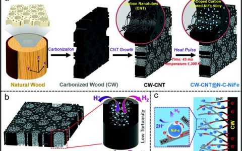 胡良兵Adv. Energy. Mater.：在低曲率的层级碳框架中“链甲催化剂”的原位组装及其用于高效稳定的析氢反应