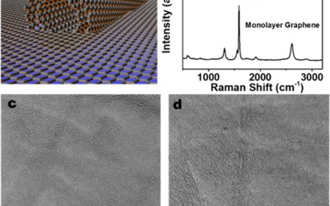 Rice University Jun Lou ACS Nano：碳纳米管增韧石墨烯