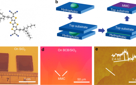 Nat. Commun.：n型单层分子晶体的自下而上生长应用于光电器件