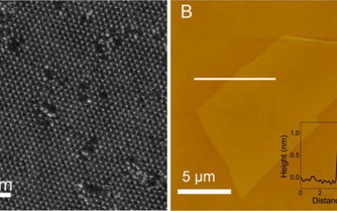 中科大吴长征教授ACS Nano：无序增强TaS2单层的超导性