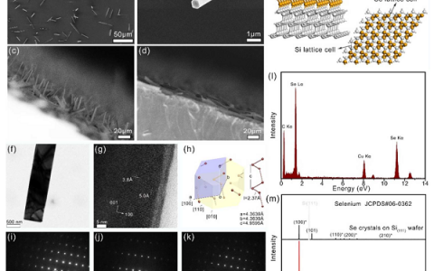 复旦大学Nano Letters：集成晶格匹配Ⅱ型Se/n-Si异质结基高性能硅兼容大面积紫外-可见宽带光电探测器