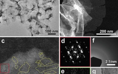 南洋理工张华Adv. Mater. :一锅法制备具有“无定形/结晶”异相结构的Pd纳米片及其高选择性催化氢化