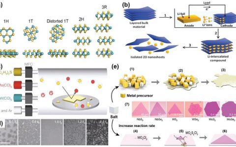Chem. Soc. Rev.: 二维发光材料：制备、性能和应用