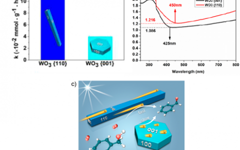 想要高效有机物光催化转化反应  这里是几个设计思路！