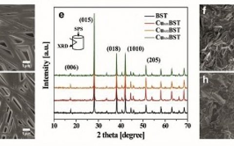 Acta Mater.: 载流子调谐/声子工程协同效应助力材料高热电性能