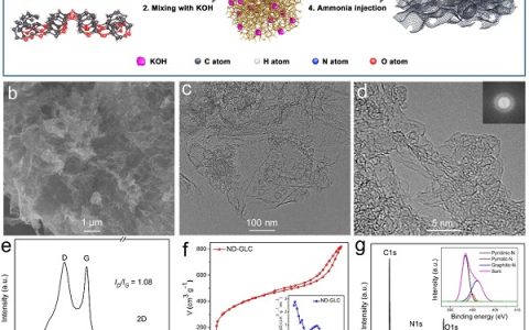 黄云辉&木士春Nano Energy : 缺陷和吡啶N协同提升碳基非金属纳米材料氧还原性能