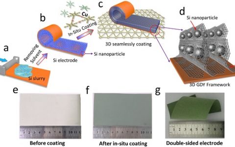 李玉良院士团队Nano Energy : 原位构筑3D石墨炔助力高性能硅负极
