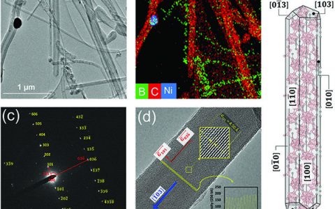 Adv. Mater：使用碳化硼纳米线的双功能阴极基板制备的长寿命锂硫电池