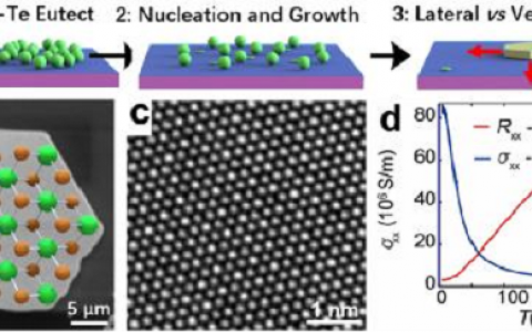 南京大学缪峰教授课题组在第二类狄拉克半金属材料的低温生长研究领域取得突破进展