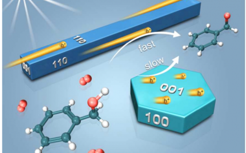清华李亚栋院士&陈晨JACS：催化也要看