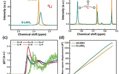北理工&清华大学: 将硝酸锂融入碳酸盐电解液用于高电压锂金属电池