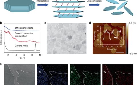 中科大俞书宏&合工大陆杨Nat. Commun.：变天然云母粉为高性能仿生聚合物云母膜