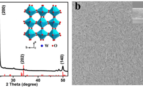 新加坡国立大学Lee Jim Yang组EES: 可选择性调控可见光与热的智能窗新突破