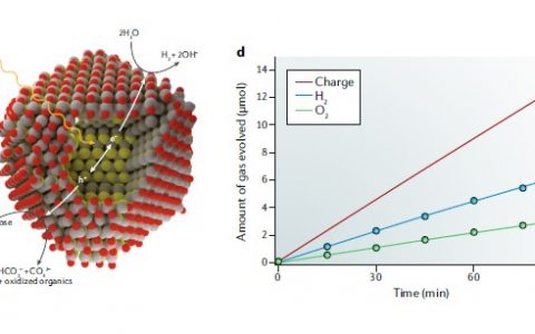 Nat. Rev. Chem.人工光合作用中的半导体量子点
