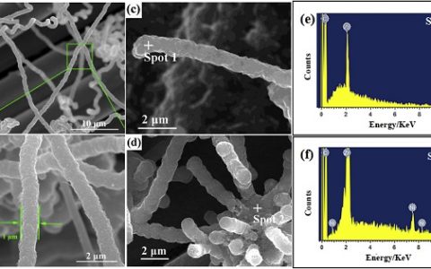 西工大Composites Part B：ZrC纳米线改性C/C复合材料的研究