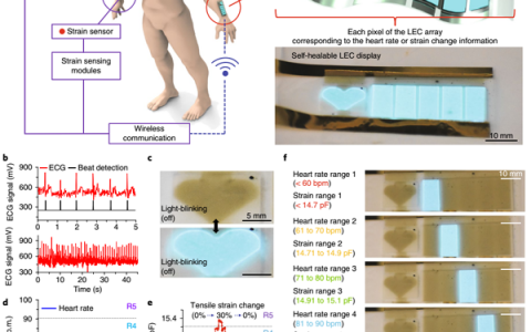 斯坦福鲍哲南团队Nature子刊重磅突破：电子皮肤从此不怕伤害