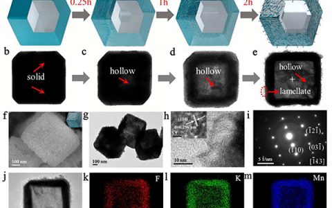 Energy & Environmental Science: 用于超高稳定性钾离子存储的零应变K0.6Mn1F2.7中空纳米立方体