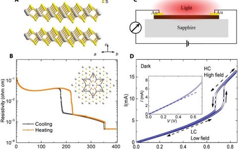Science Advances：室温下从可见光到太赫兹的超宽带光敏度