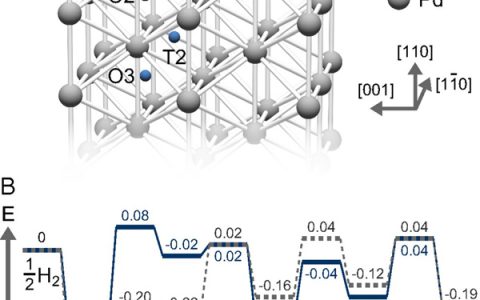 东京大学PNAS：钯通过与金表面合金化加速吸氢