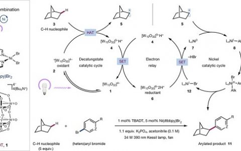 有机大牛David W.C. Macmillan最新Nature：脂肪族C-H键直接芳基化