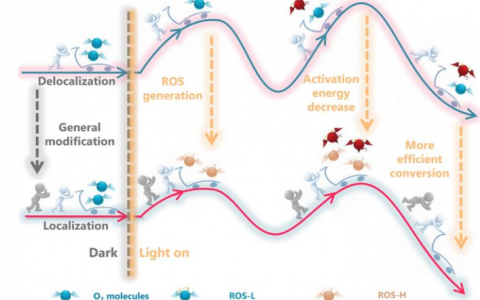 调控光催化速控步骤的“上帝之手”：局域化超额电子