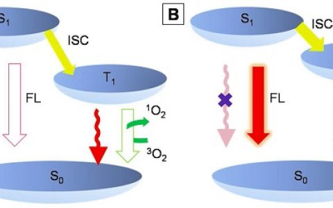 新加坡国立大学刘斌课题组Adv. Mater.: 具有聚集诱导发光性质的光敏剂的设计合成及生物应用