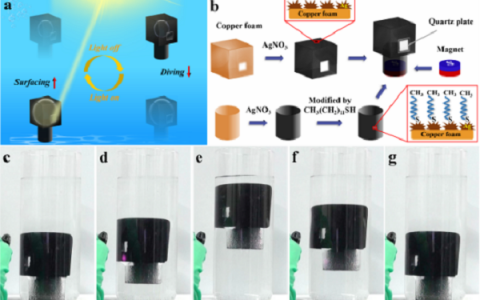 北京化工大学石峰教授AM:收集环境中的能量用于发电的光响应性功能协同智能器件