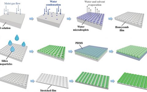 东南大学Adv. Funct. Mater.：利用蜂窝状薄膜为模板制备仿生分级功能结构