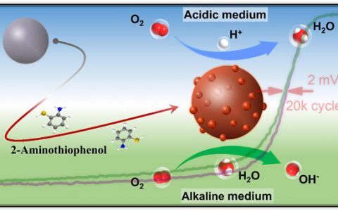 陈忠伟Nano Energy.：修饰的空心球形催化剂增强氧还原反应活性和耐久性