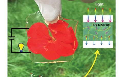 西南交大鲁雄Chemistry of Materials封面文章：基于导电高分子纳米纤维的透明导电水凝胶