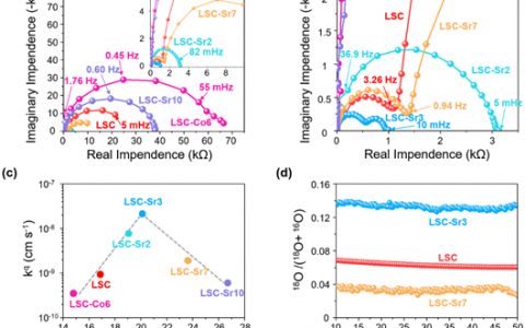 于波、朱建新、刘美林等Adv. Energy Mater.：偏析诱导自组装生成高活性钙钛矿加速OER动力学